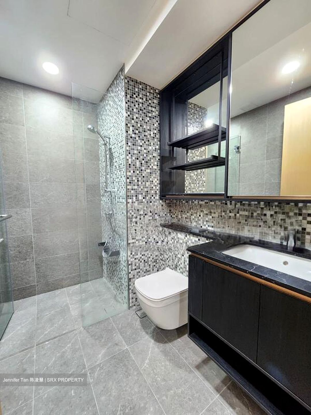 The Antares (D14), Apartment #455295641
